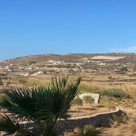 Cycladic In Kounados